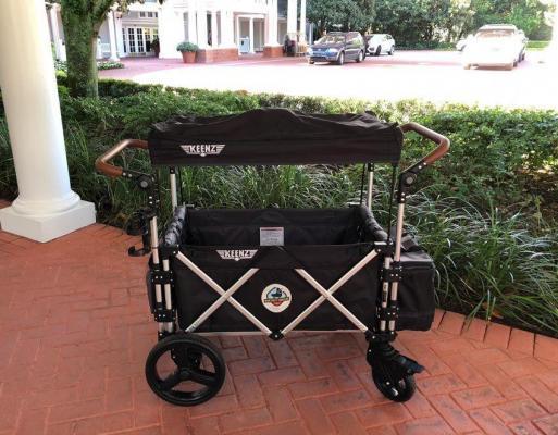 disney stroller wagon