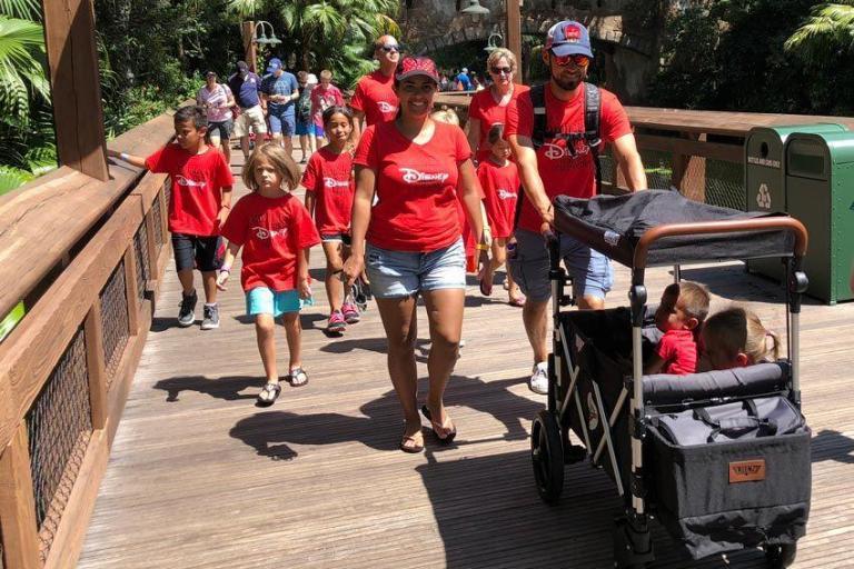 Rental Strollers for a Magical Ride