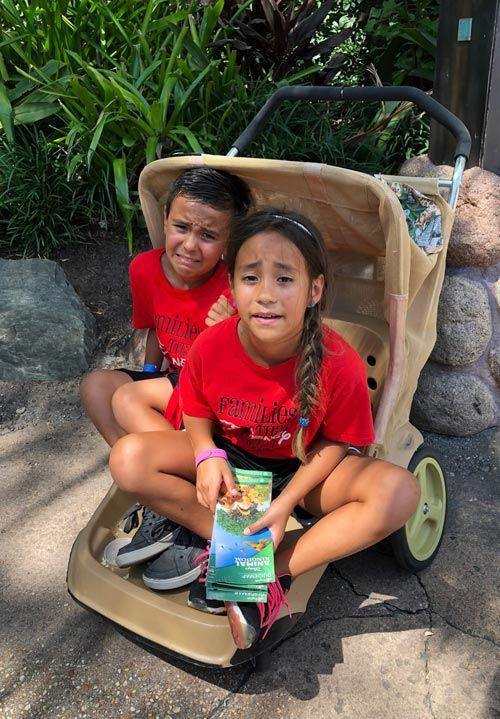 stroller wagon disney world