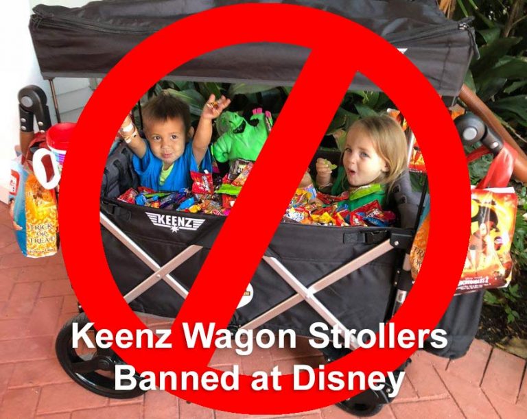 Disney World To Ban Wagons, Oversized Strollers, Smoking and Ice