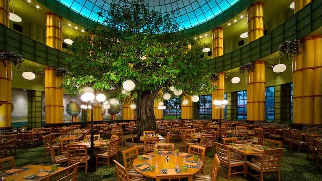 Large tree in the center of the Dinning Room at Garden Grove in Walt Disney World Swan Hotel.